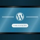 theme Wordpress comment bien le choisir