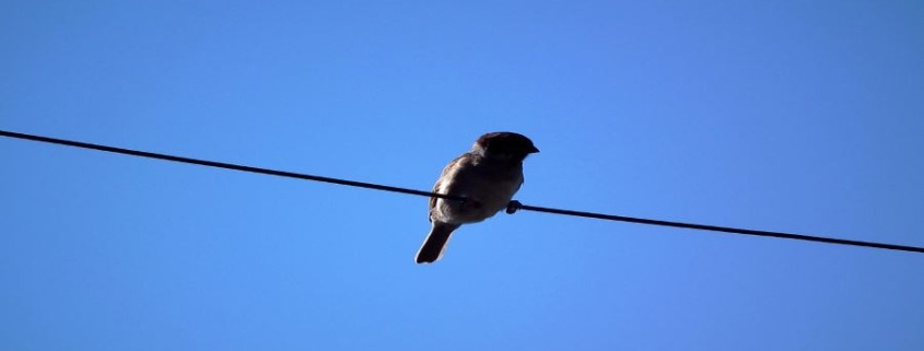 quel plugin utiliser pour le fil d'ariane sous wordpress