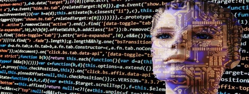 plateforme WordPress