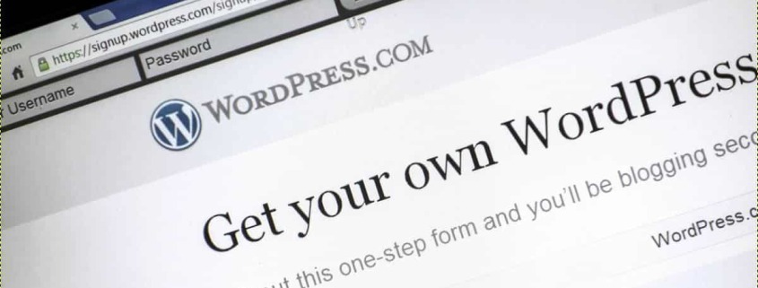 caractéristiques thème WordPress