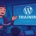 Initiation WordPress : comment choisir un expert pour la formation ?